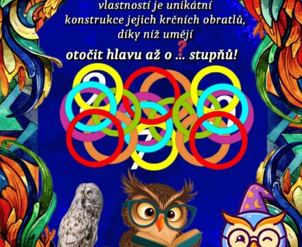 Soví zajímavost 001