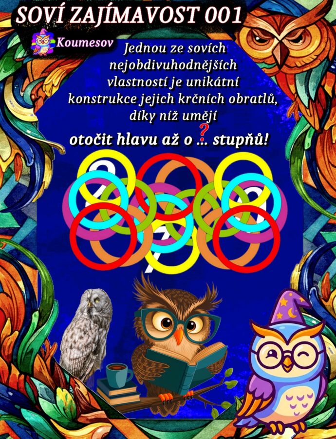 Soví zajímavost 001